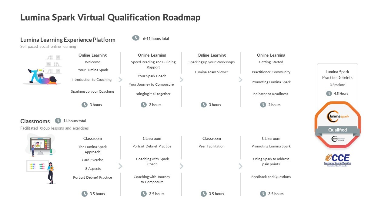 Lumina Spark Qualification Roadmap